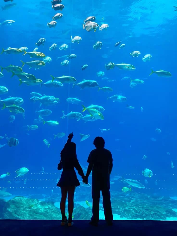 Couple silhouette at an aquarium